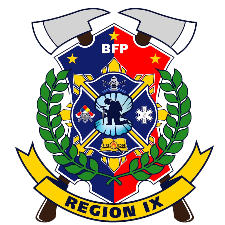 BFP Region 6 Logo